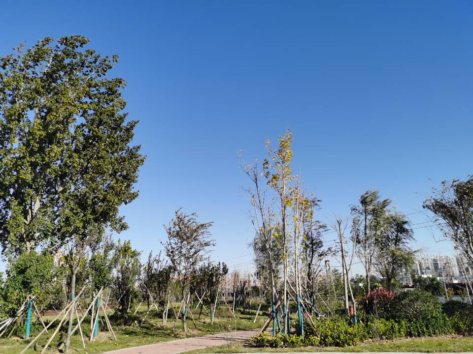 天津市津南区开展春季造林 涵养“京津冀城市绿肺”