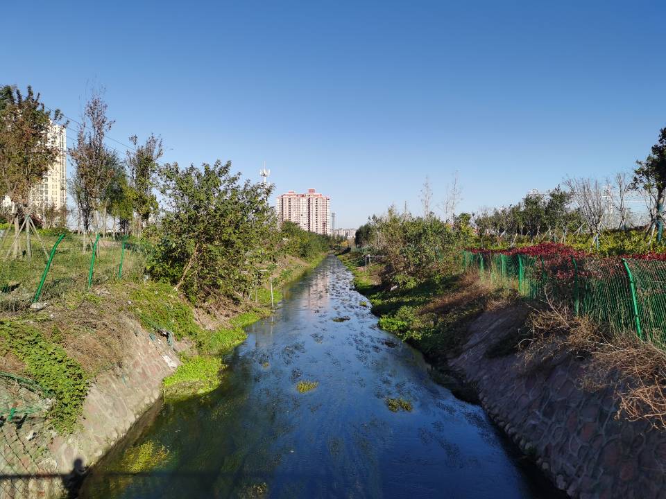 天津市生态城计划打造两横四纵、6条特色鲜明的景观大道