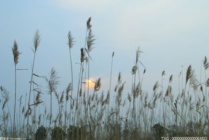 五一假期中国旅游市场出现