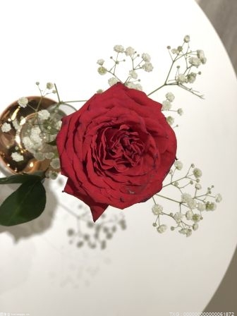 看破红尘是什么意思 看破红尘指的是什么