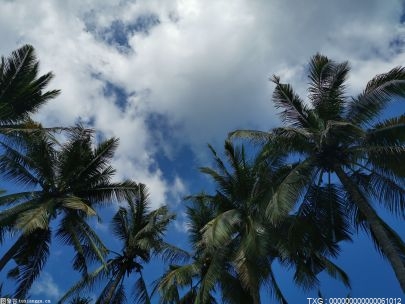 海南临高县属于哪个市 海南临高在海口的哪里 临高有哪些旅游景点？